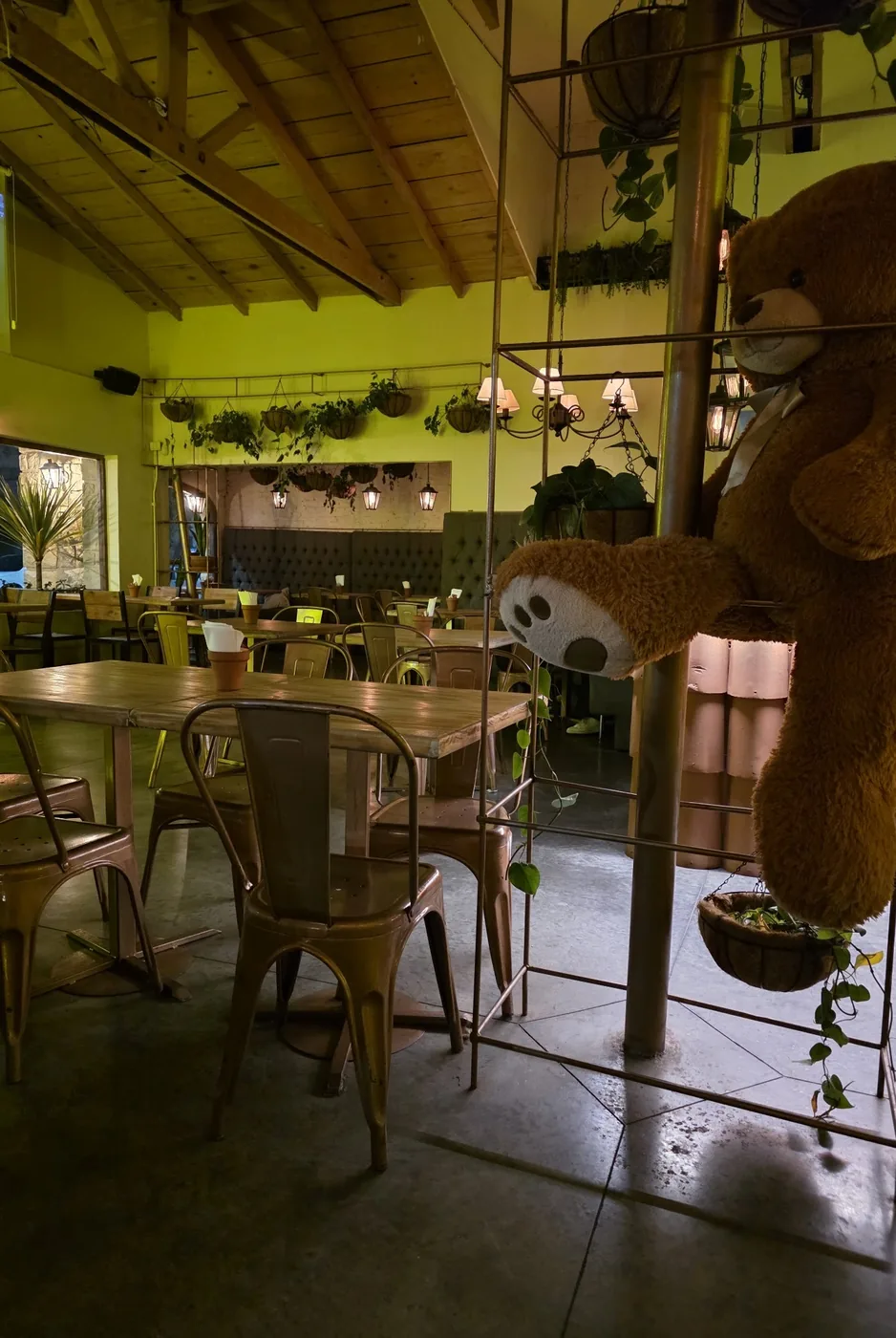 El oso de peluche gigante de Lobito en el salón