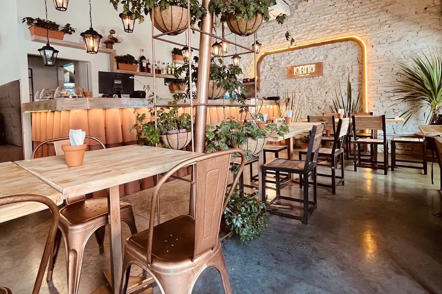 El salón de Lobito, con plantas y madera