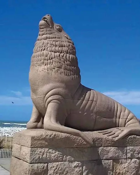 El lobo marino de la Rambla de Mar del Plata